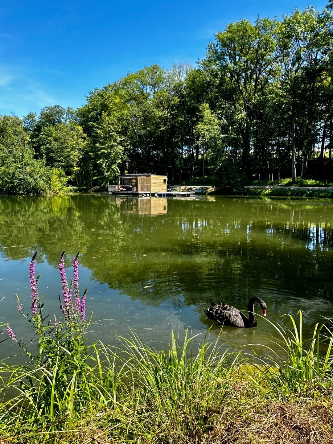 Ecolodge flottant au cœur de la Champagne 
