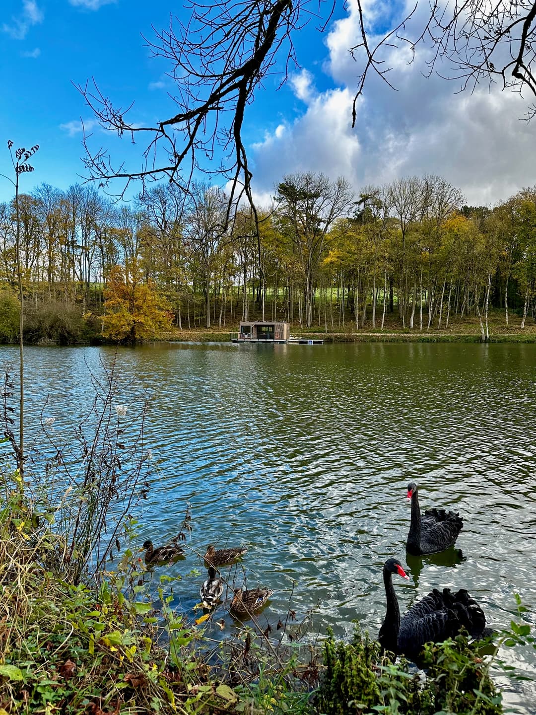 Ecolodge flottant d’exception 