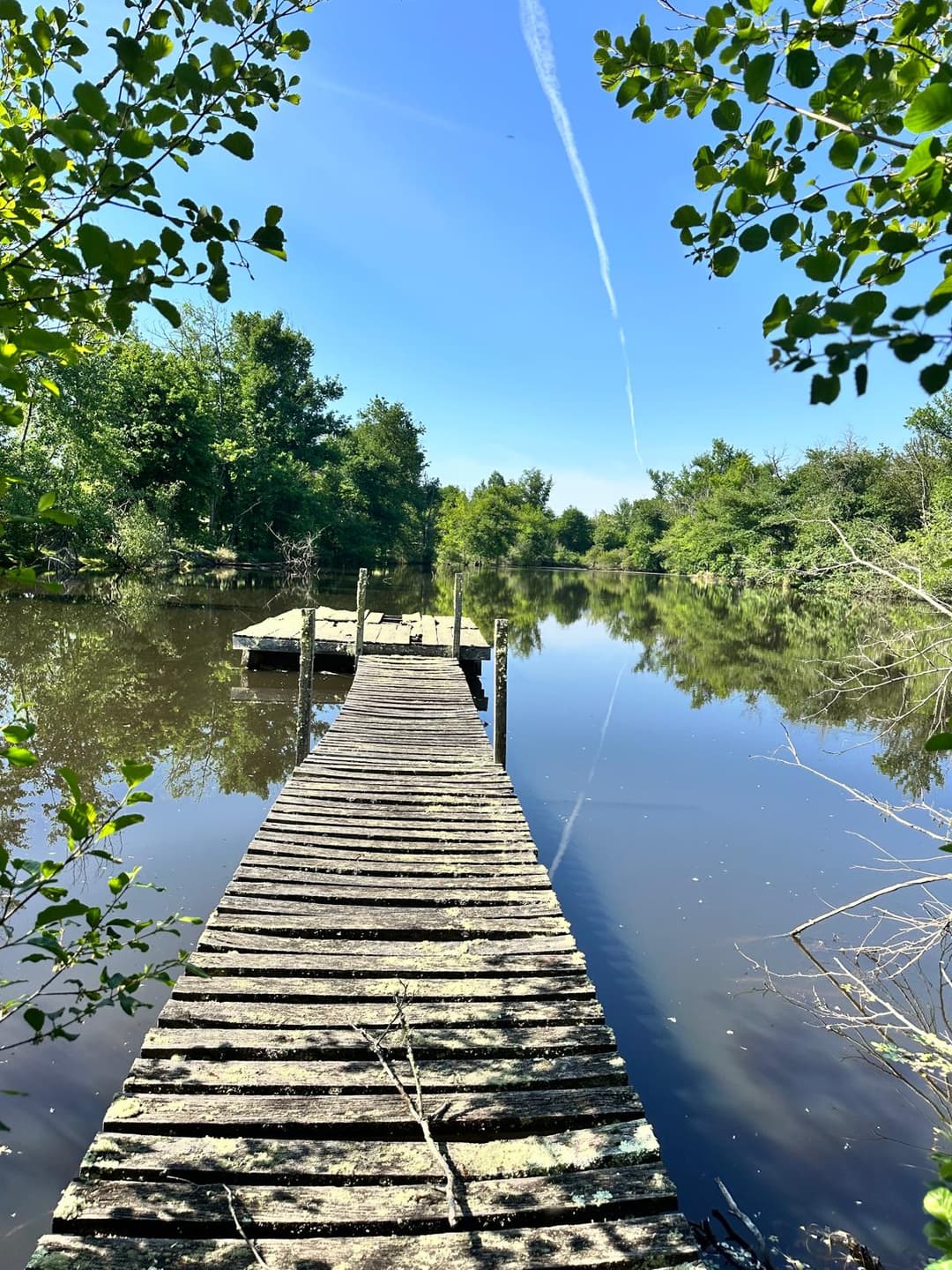 Cottage de ferme rurale avec 3 étangs pour se baigner et pêcher - Lavande