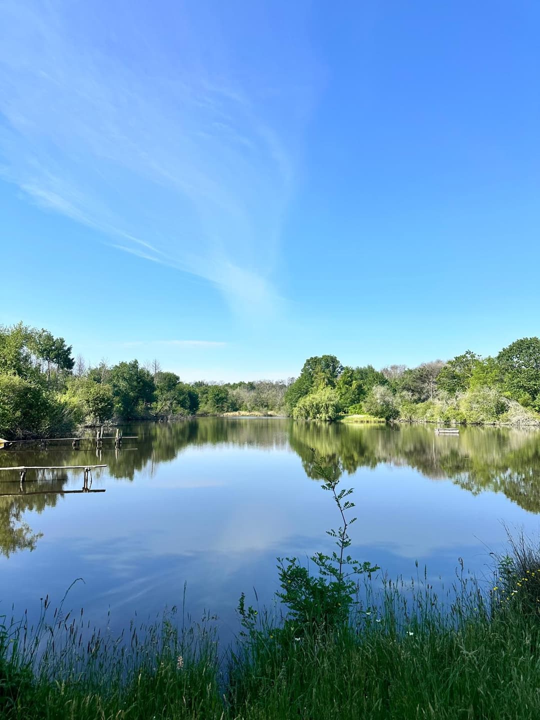 Cottage de ferme rurale avec 3 étangs pour se baigner et pêcher - Lavande