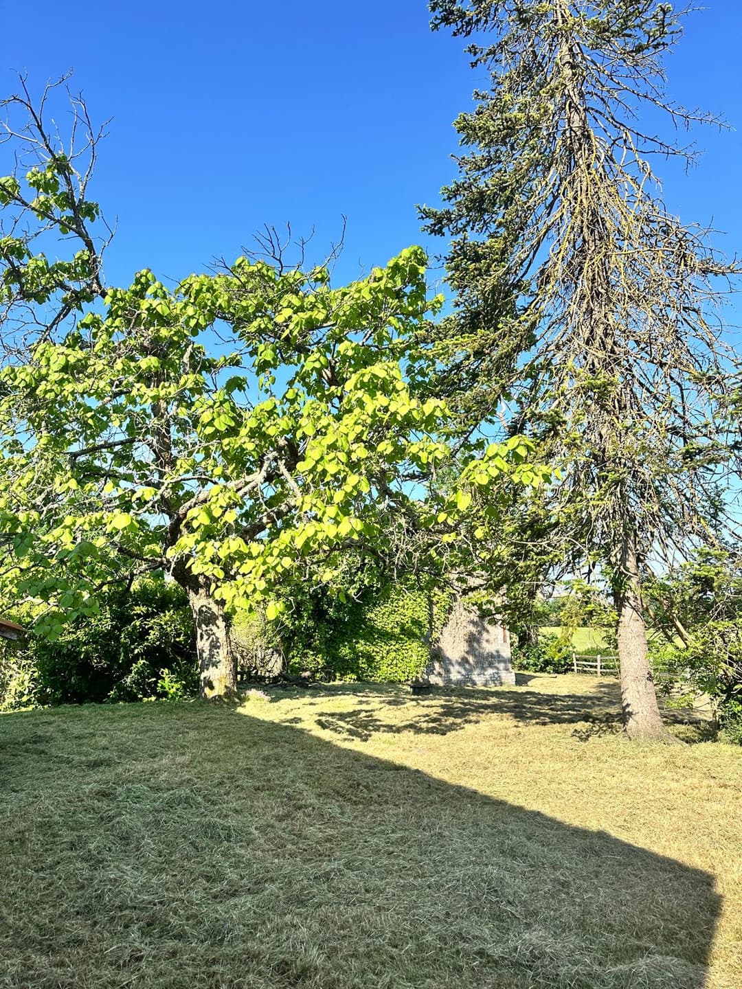 Cottage de ferme rurale avec 3 étangs pour se baigner et pêcher - Lavande