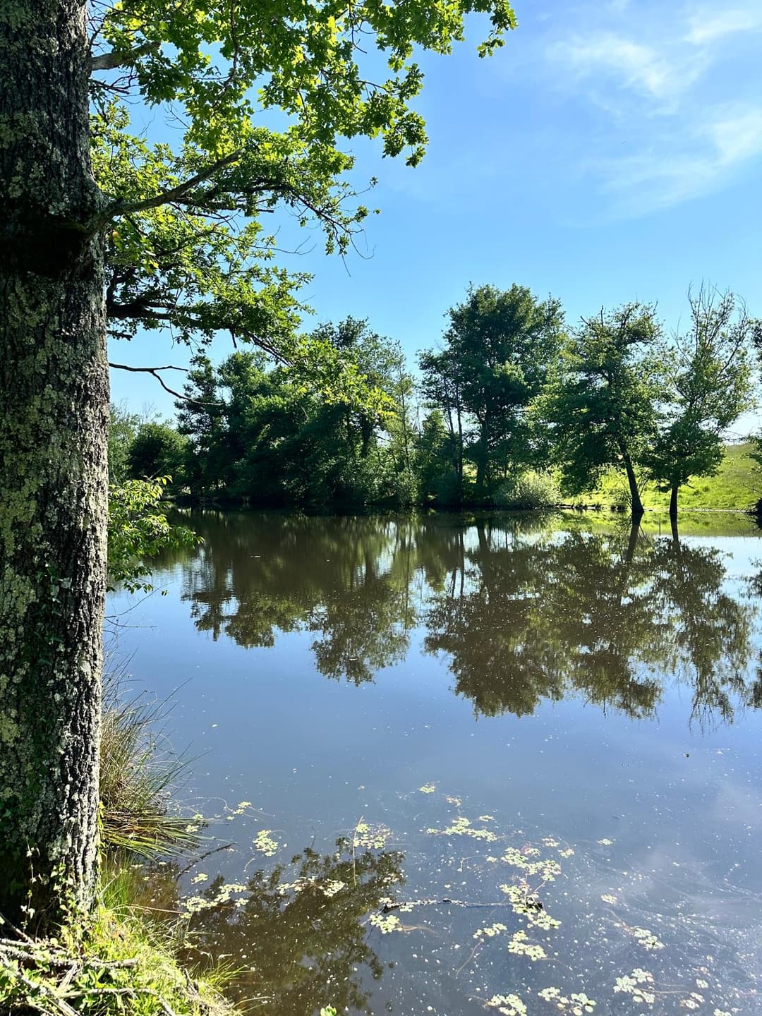 Cottage de ferme rurale avec 3 étangs pour se baigner et pêcher - Lavande