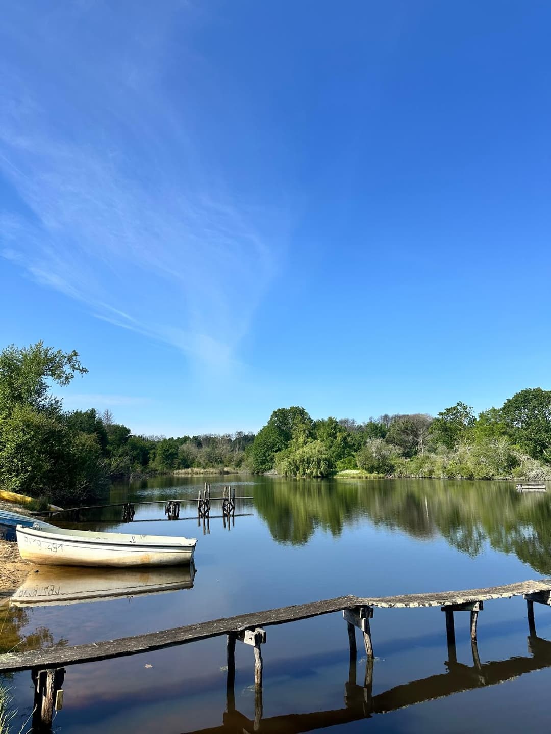 Cottage de ferme rurale avec 3 étangs pour se baigner et pêcher - Lavande