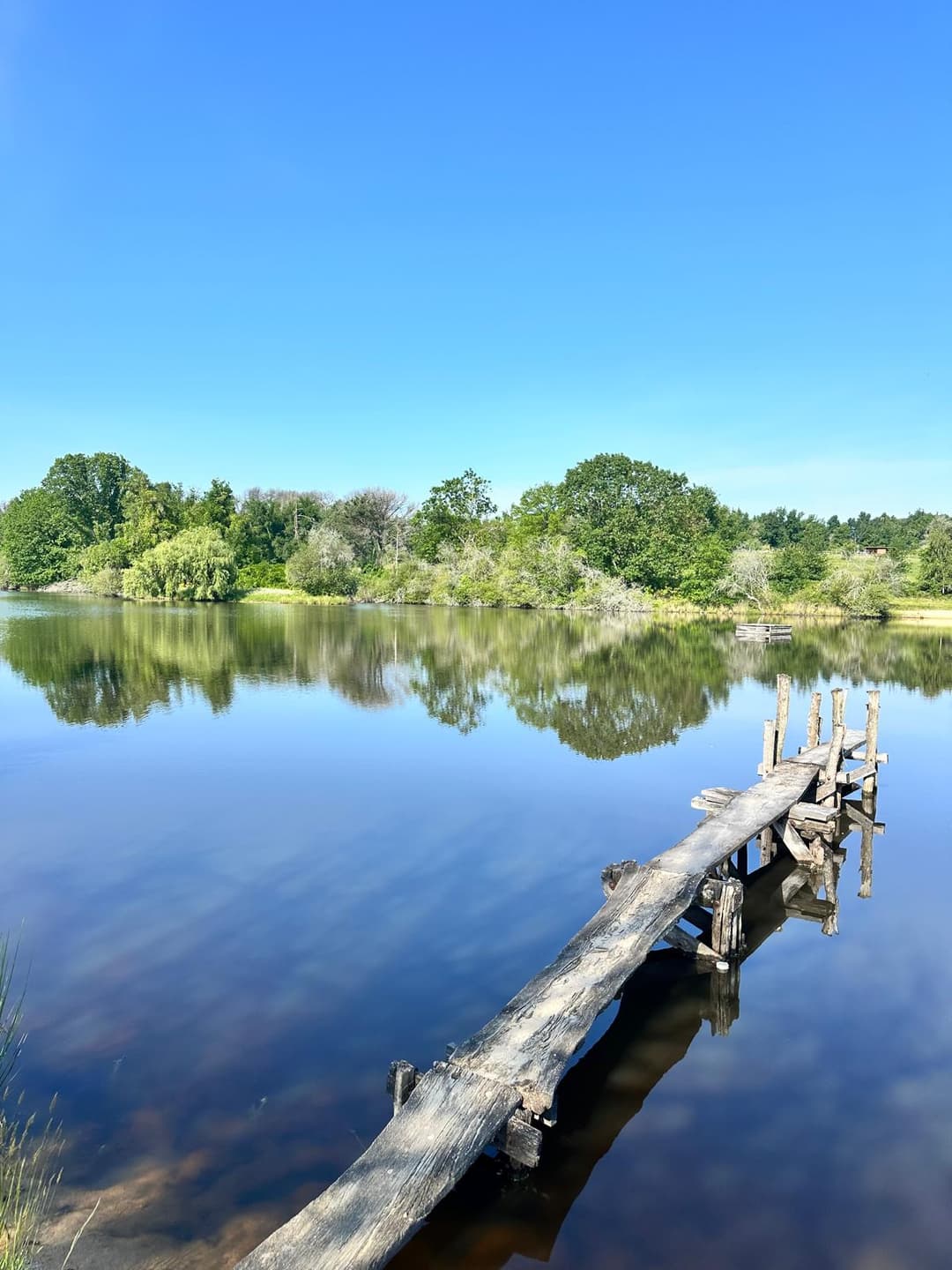 Maison de campagne devant  3 étangs -  Porcherat