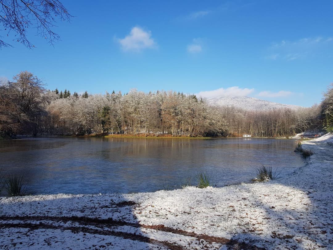 Étang de 2ha dans le département du Territoire de Belfort 