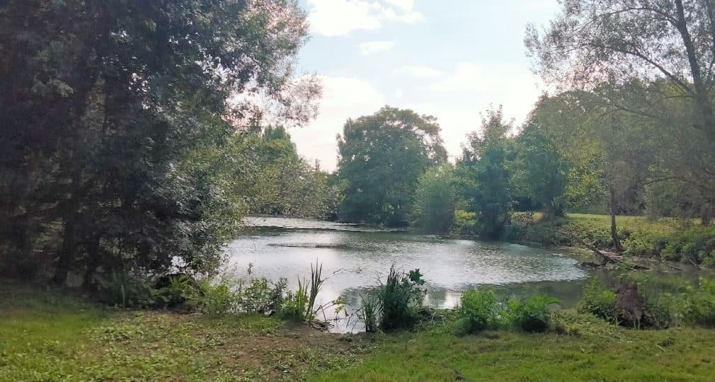 Location étang pour pêcher 