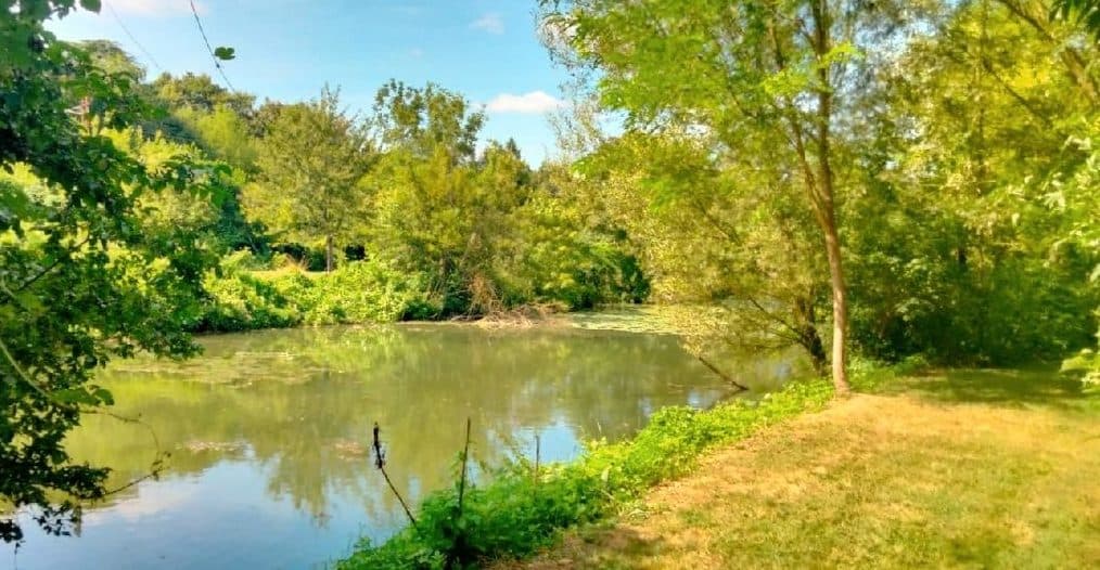 Location étang pour pêcher 