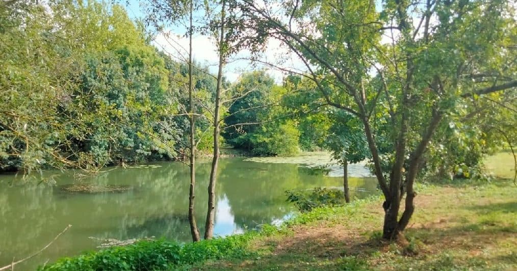 Location étang pour pêcher 