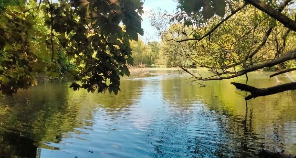 Location étang pour pêcher 