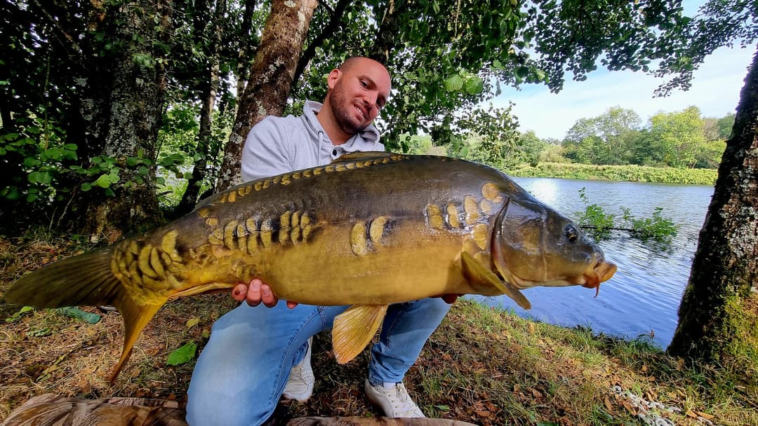 Gravière de 8ha, très poissonneuse et facile d'accès proche de Lure 