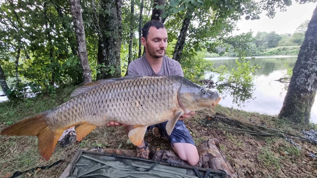 Gravière de 8ha, très poissonneuse et facile d'accès proche de Lure 