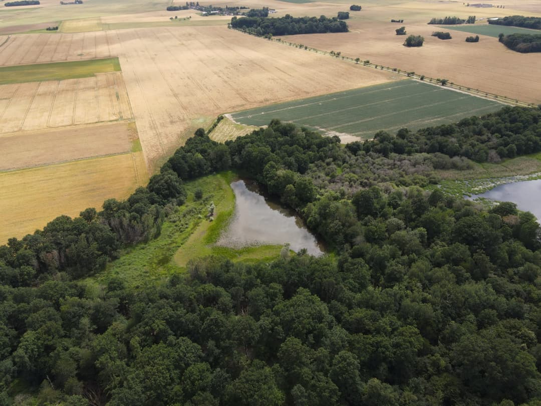Location étang de 3ha pour un weekend en famille au bord de l’eau 