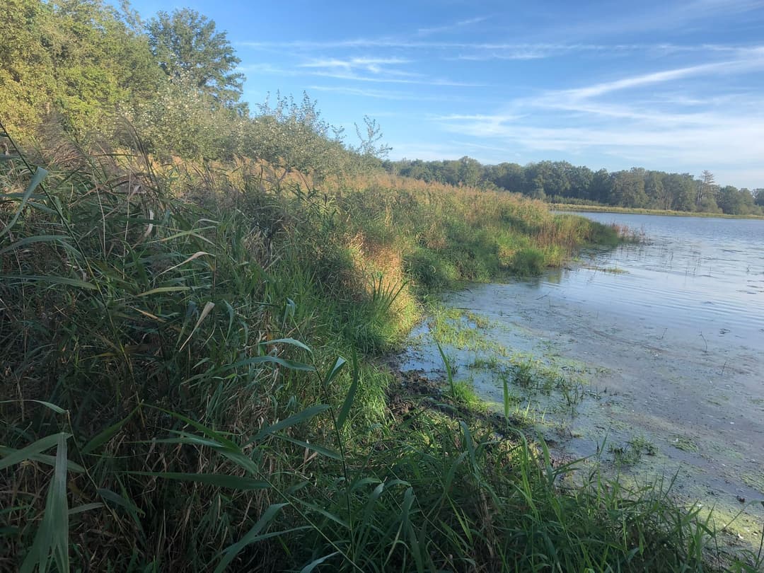 Location étang de 3ha pour un weekend en famille au bord de l’eau 