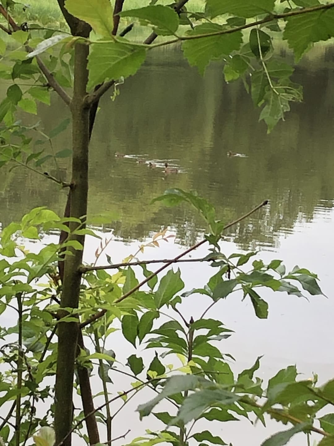 Location étang de 3ha pour un weekend en famille au bord de l’eau 