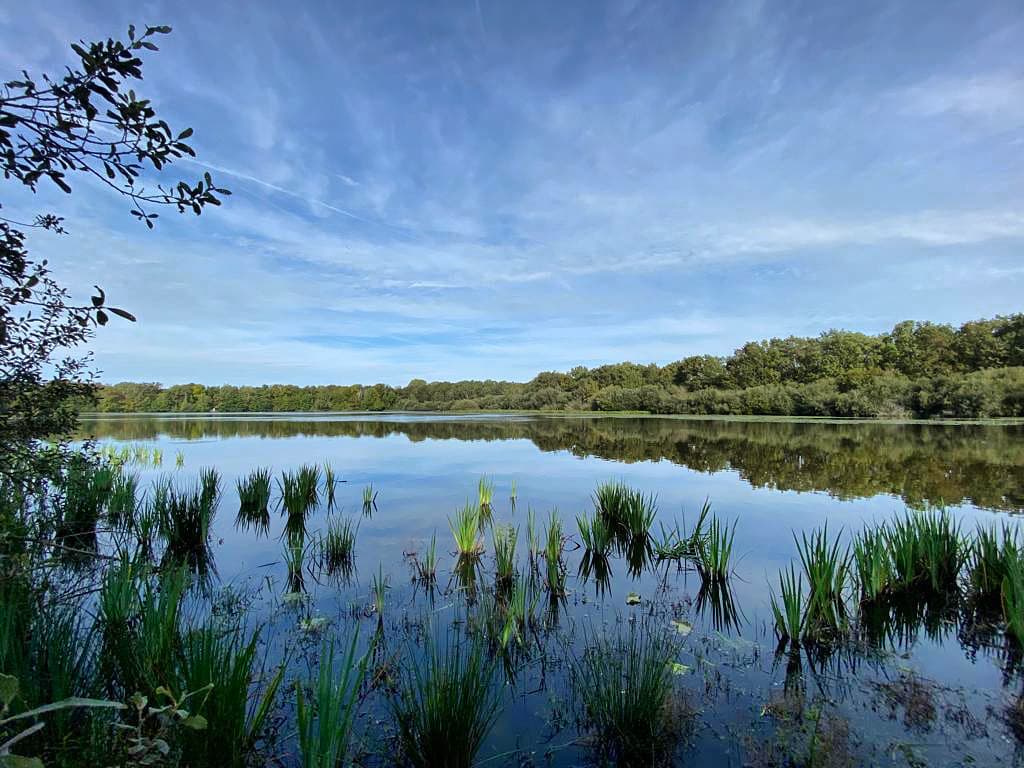 Location étang de 3ha pour un weekend en famille au bord de l’eau 