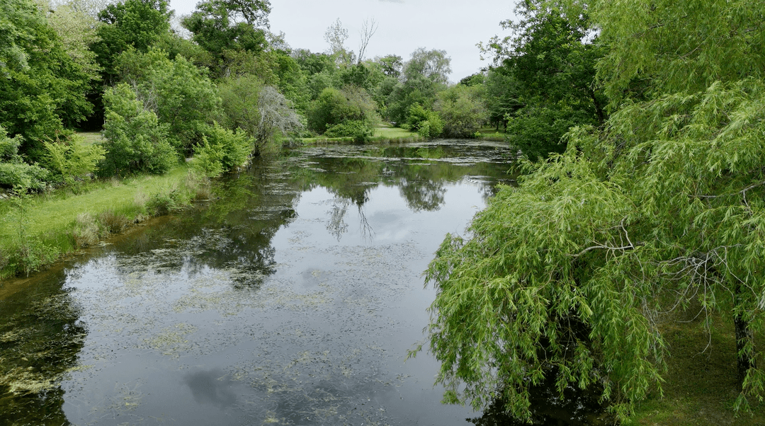 Bateau sur étang privé de 3 ha en Dordogne