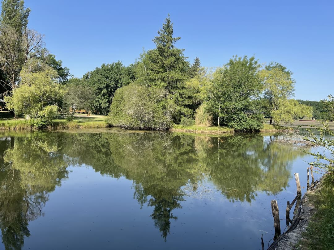 Chalet pilotis sur île privée avec vue imprenable sur l’étang 