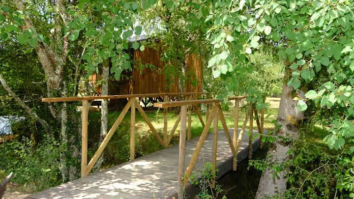 Cabanes sur pilotis avec vue imprenable sur l’étang 