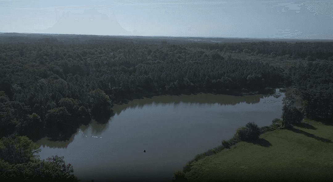 Grand domaine avec spa et accès à 6 étangs