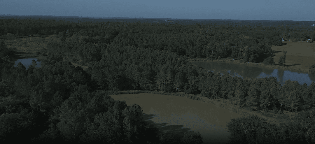 Grand domaine avec spa et accès à 6 étangs