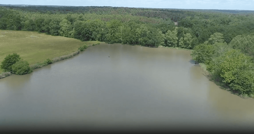 Grand domaine avec spa et accès à 6 étangs