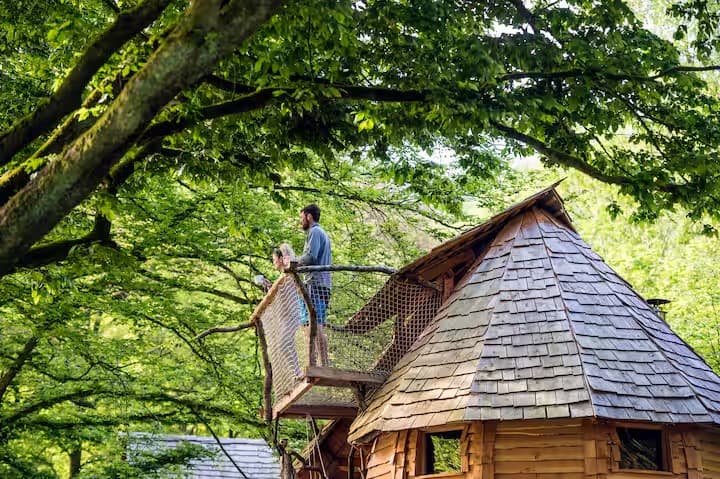 Escapade au milieu des arbres 