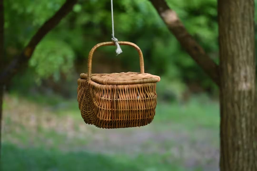 Escapade au milieu des arbres 