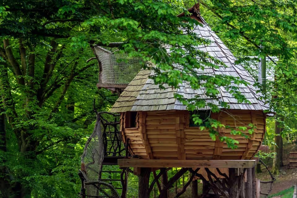 Escapade au milieu des arbres 