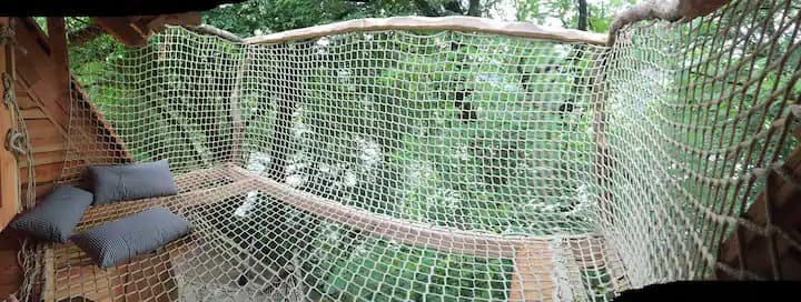 Escapade au milieu des arbres 