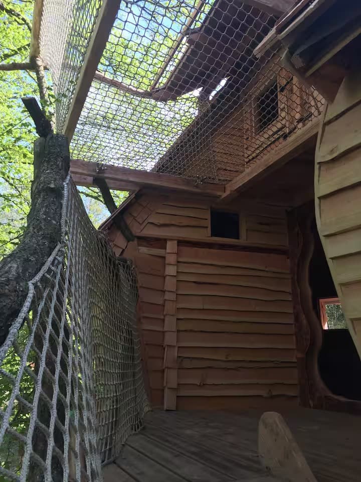 Escapade au milieu des arbres 