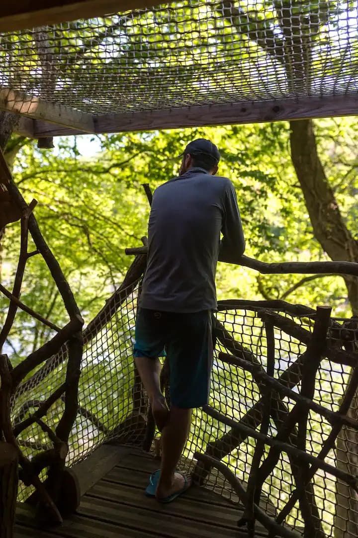 Escapade au milieu des arbres 