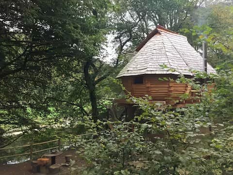Escapade au milieu des arbres 