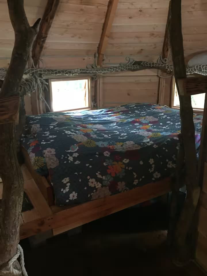 Escapade au milieu des arbres 