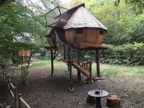 Escapade au milieu des arbres 