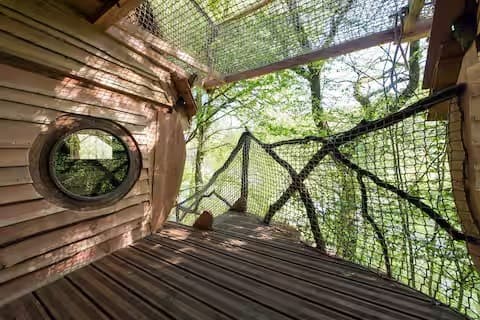 Escapade au milieu des arbres 