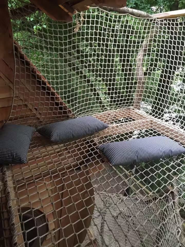 Escapade au milieu des arbres 