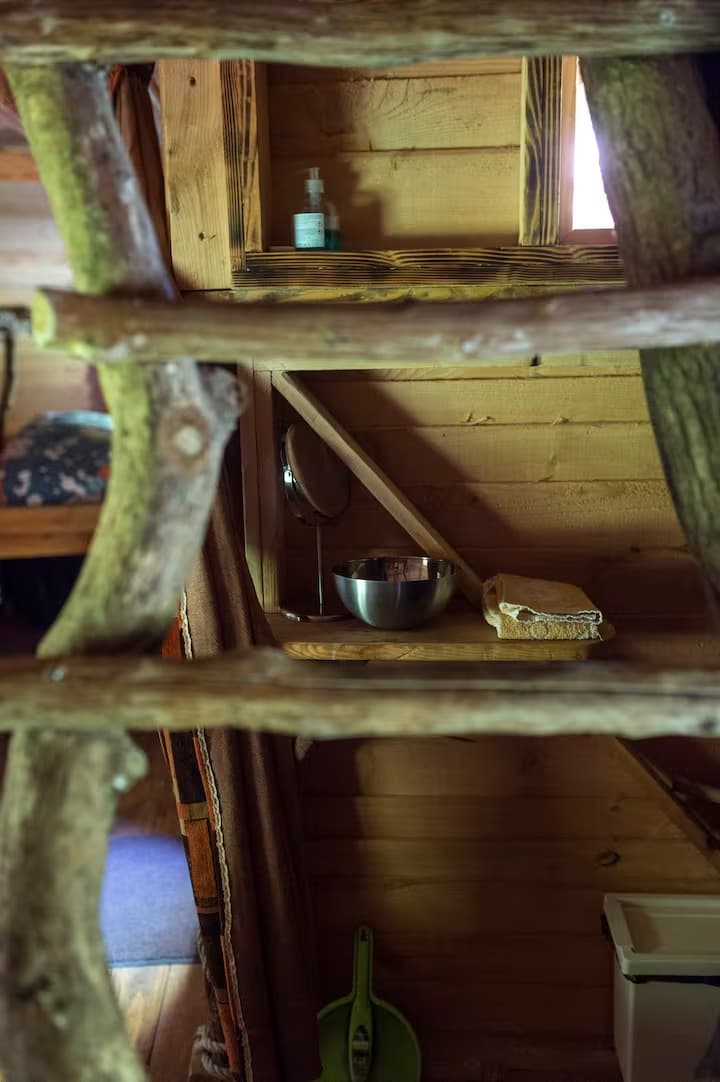 Escapade au milieu des arbres 