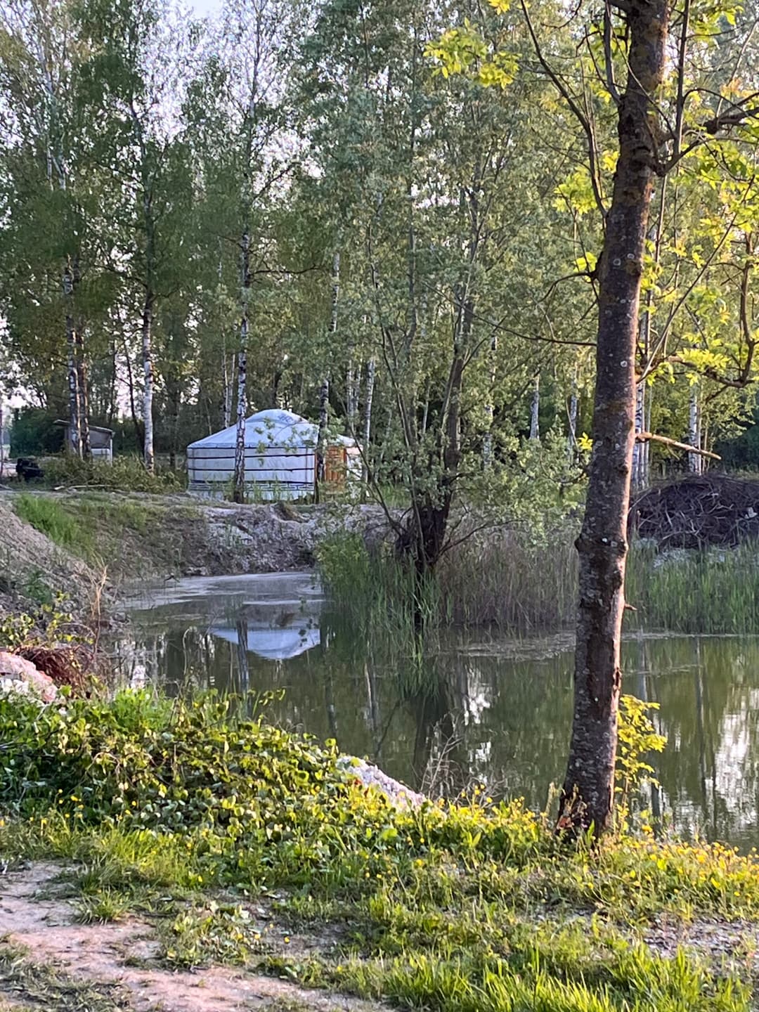 Étang avec yourte aménagée et forte population de poissons! 