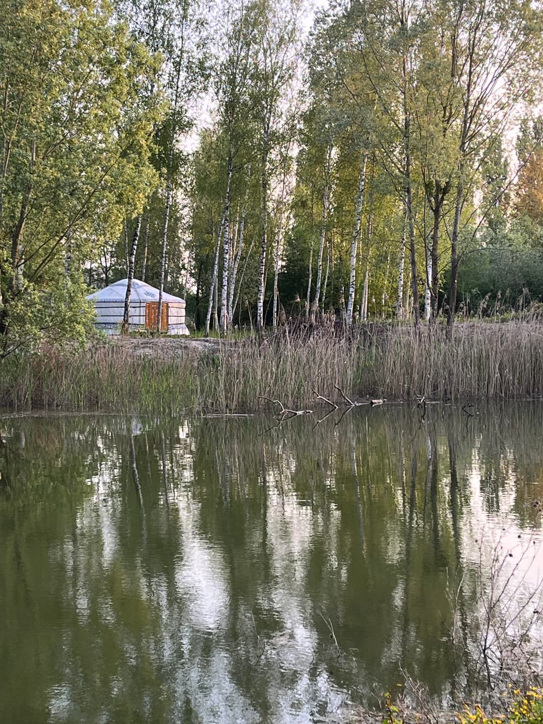 Étang avec yourte aménagée et forte population de poissons! 