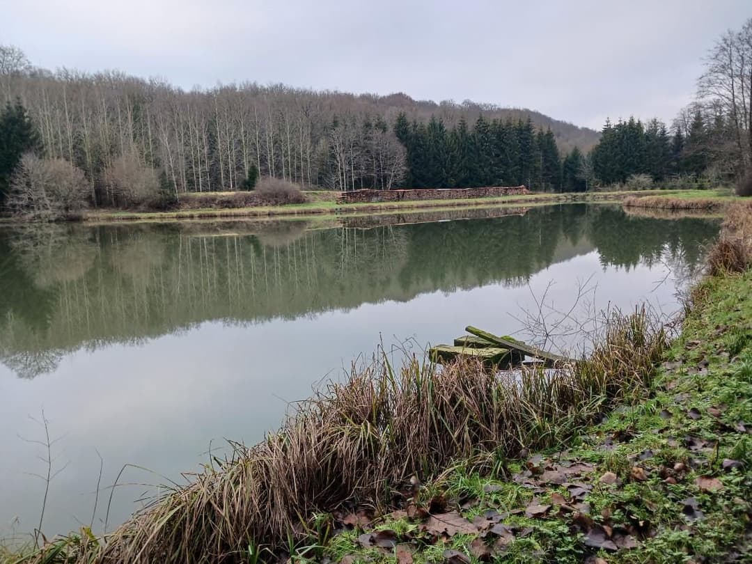 Etang de 2ha à côté de la frontière Belge 