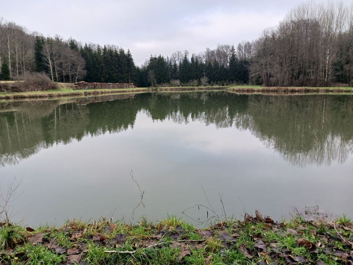 Etang de 2ha à côté de la frontière Belge 