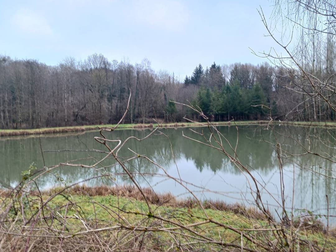 Etang de 2ha à côté de la frontière Belge 