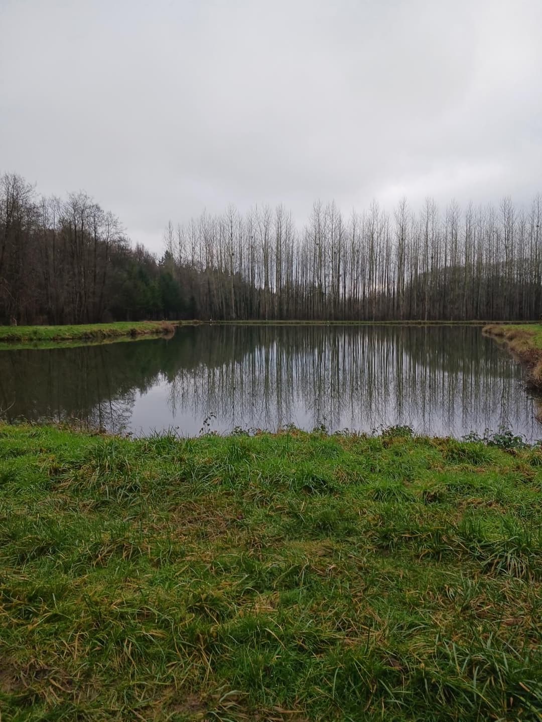 Etang de 2ha à côté de la frontière Belge 