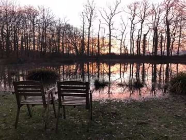 La Cabane sur pilotis, un havre de paix au cœur de la campagne normande 