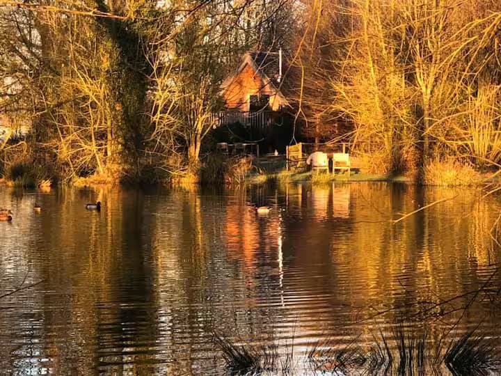 La Cabane sur pilotis, un havre de paix au cœur de la campagne normande 