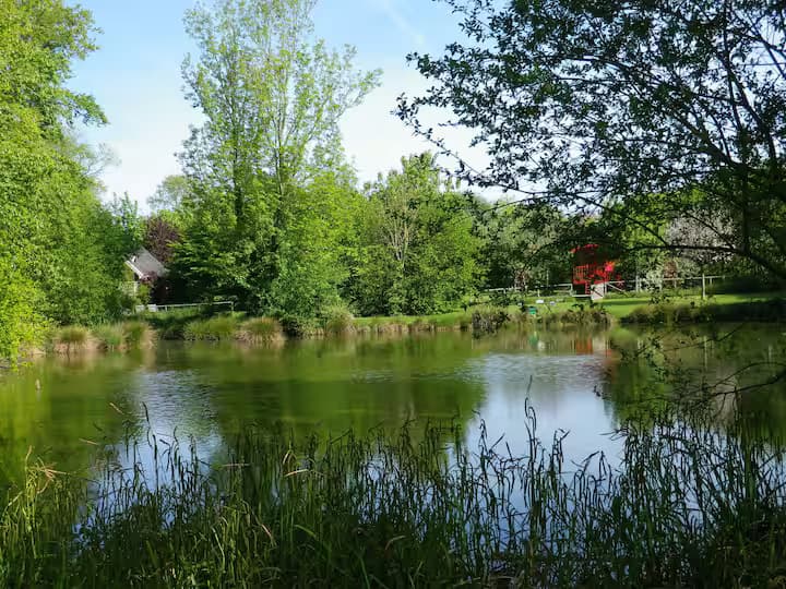 La Cabane sur pilotis, un havre de paix au cœur de la campagne normande 