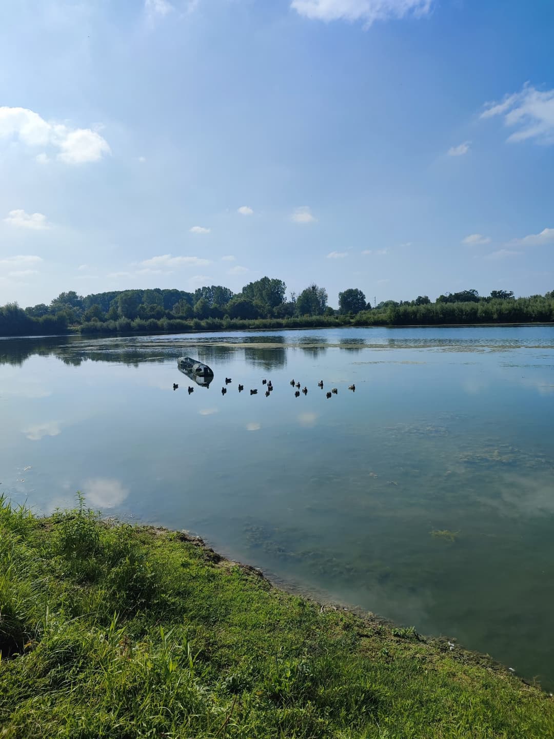 Étang privé de 5ha pour une journée de pêche en toute tranquillité 