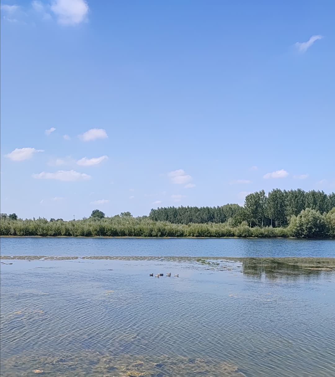 Étang privé de 5ha pour une journée de pêche en toute tranquillité 