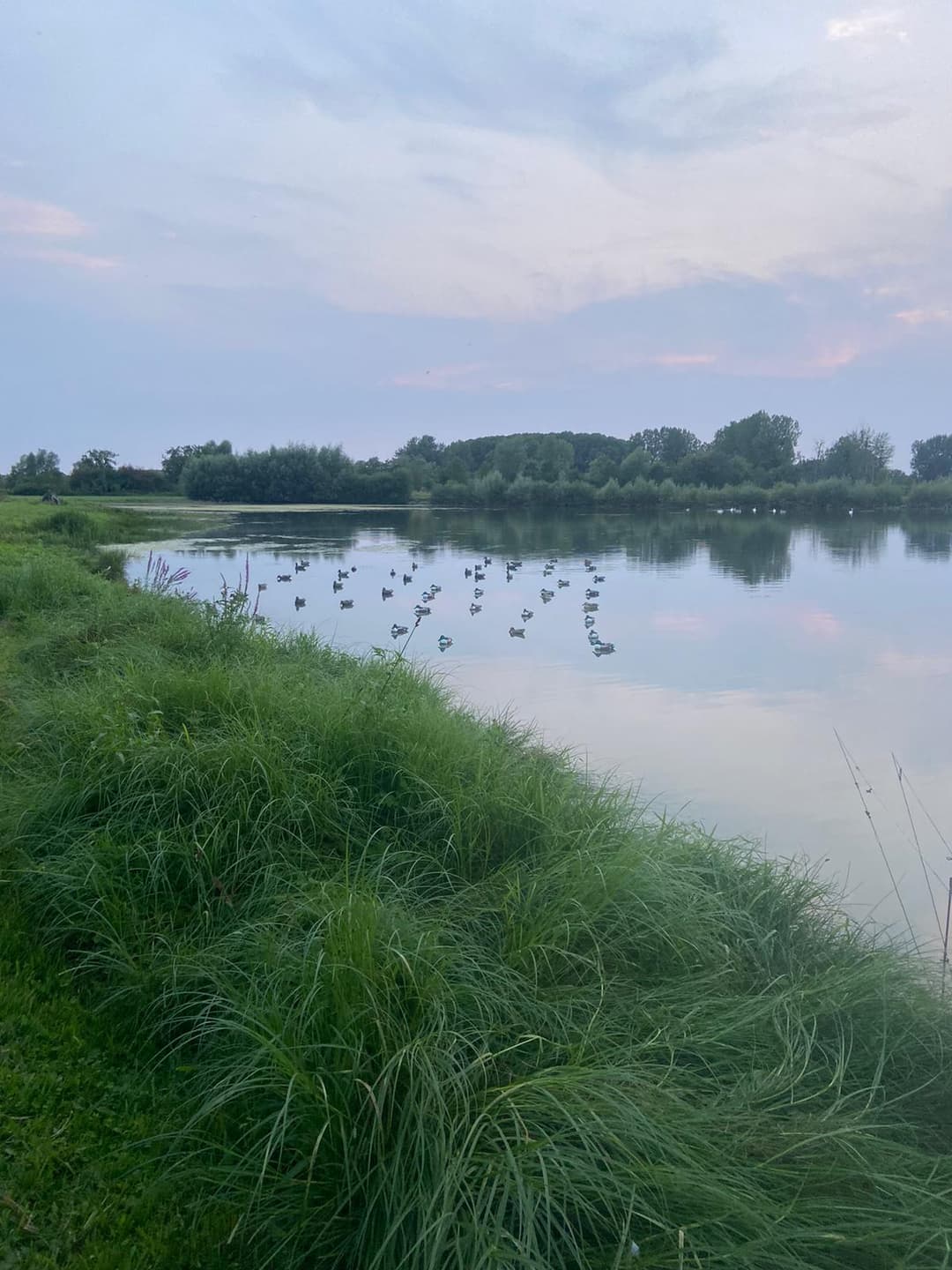 Étang privé de 5ha pour une journée de pêche en toute tranquillité 