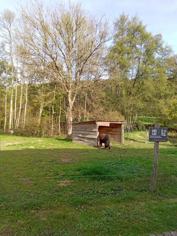 Location gîte pour un séjour ressourçant en pleine nature 